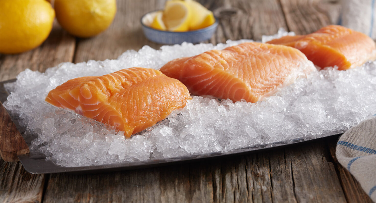 Lake Trout Fillets Mi Great Lakes Fish Co